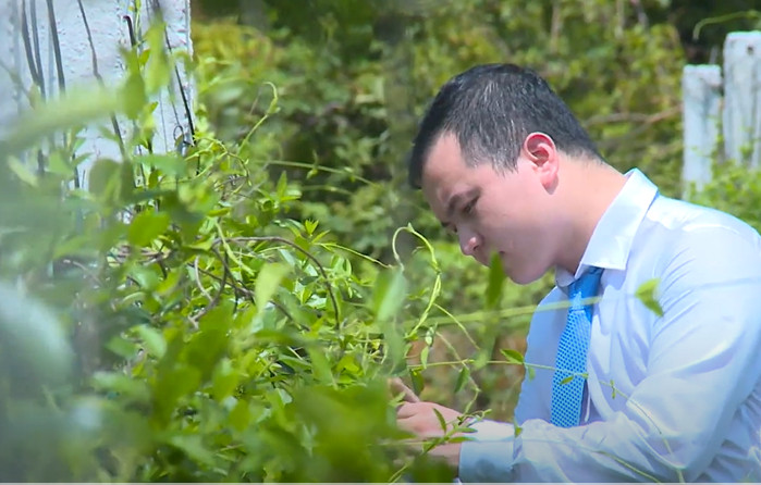 VÙNG NGUYÊN LIỆU TRÀM TRÀ
